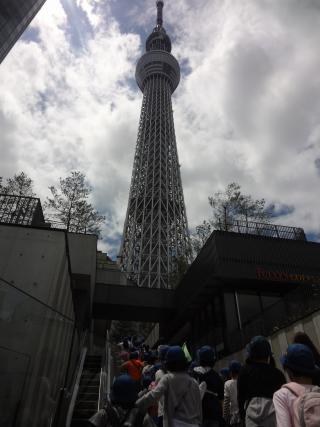 skytree2